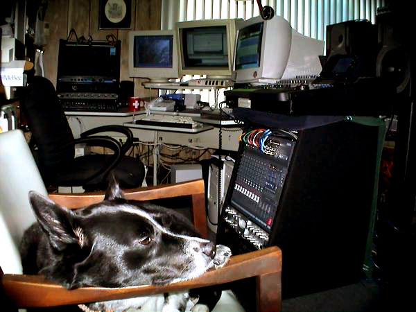 Dax taking five